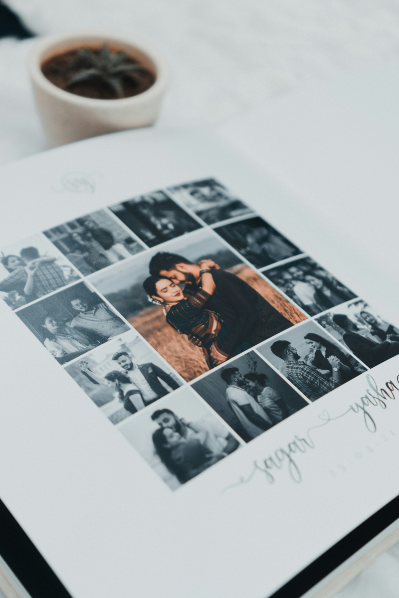 Photo Synthèse